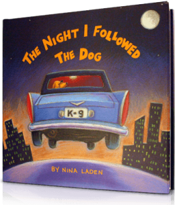 The Night I Followed the Dog read by Amanda Bynes